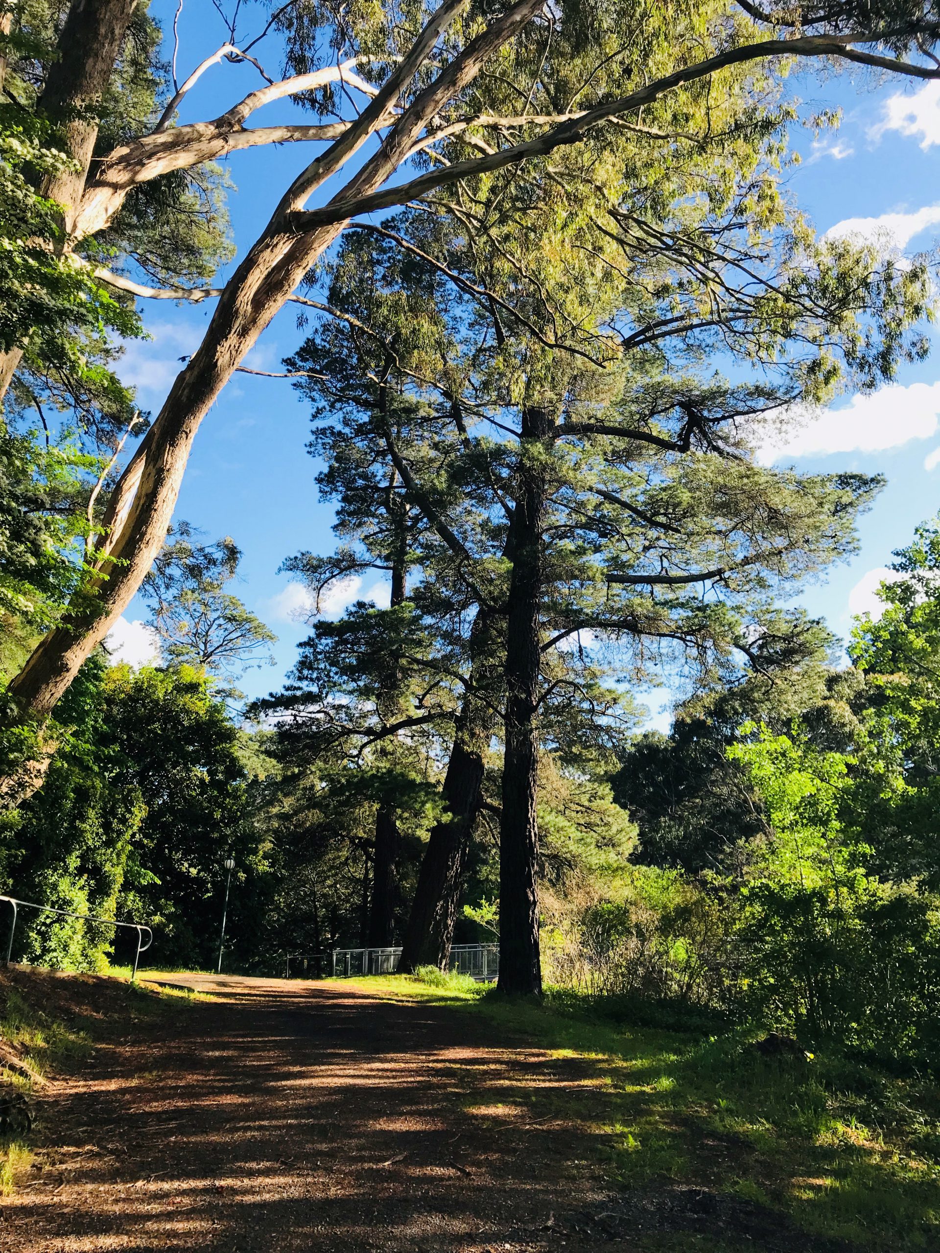 Hepburn Mineral Springs Reserve